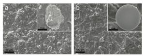 Microscopic view of self-healing batteries