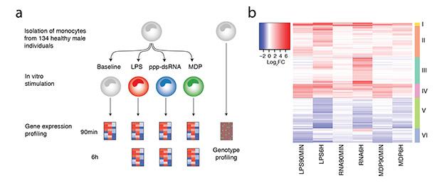 Overview of the Study