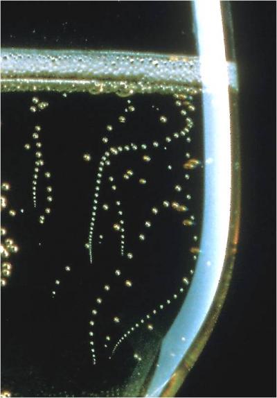 Close-Up of Champagne Bubbles