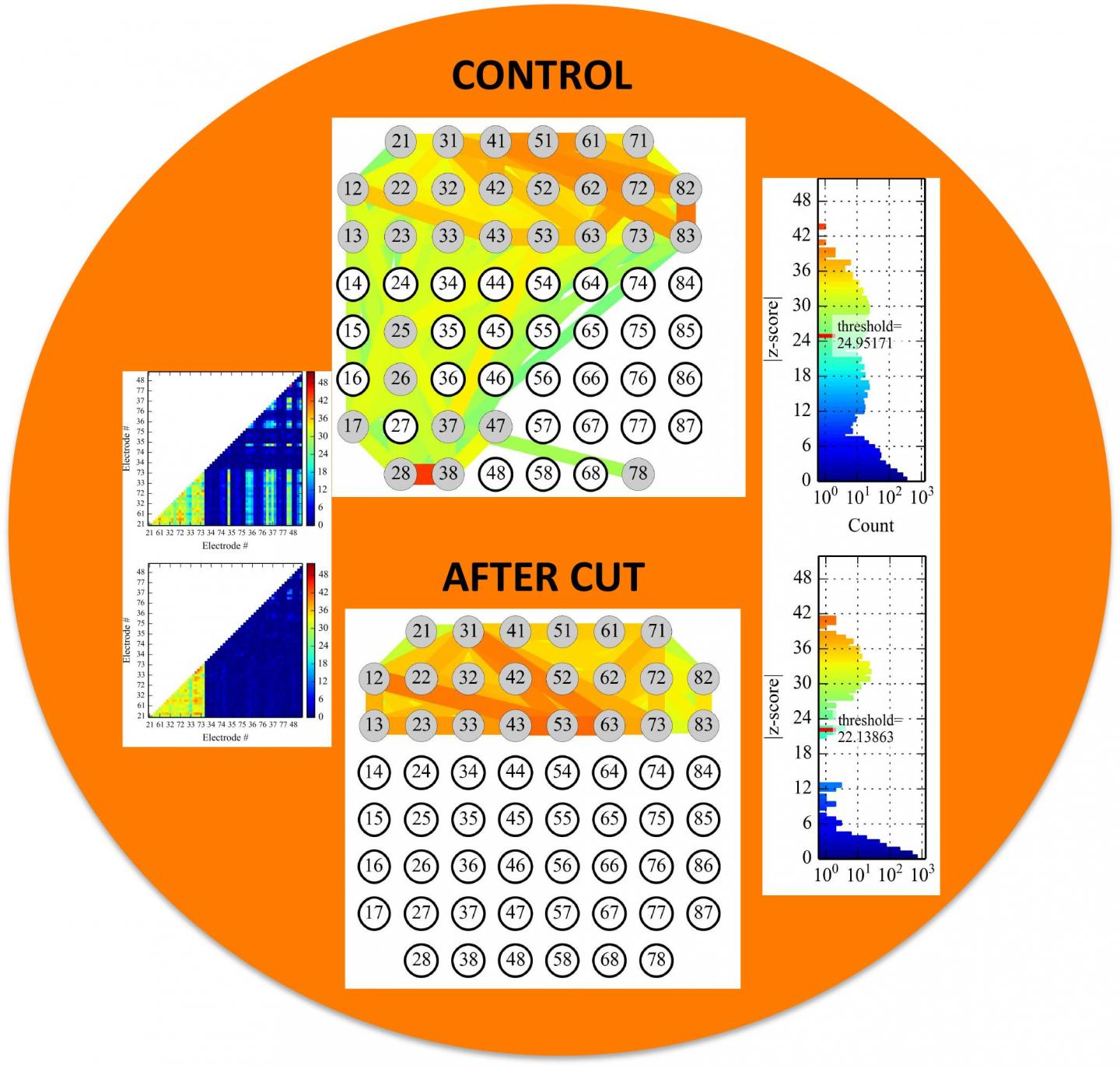 Connectivity Map of a Multi-Electrode Array