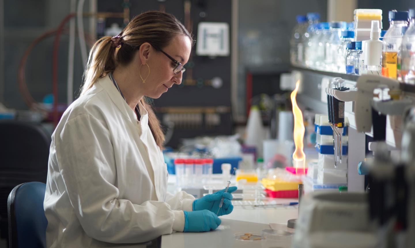 Dr. Olivia Champion, University of Exeter