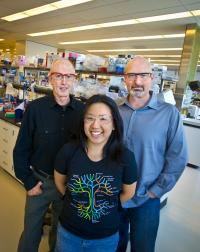 Michael Thelen, Hannah Woo and Blake Simmons,  Joint BioEnergy Institute