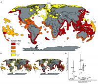 Global Risk Assessment of Toothed Whale By-Catch in Small-Scale Fisheries by Large Marine Ecoregion