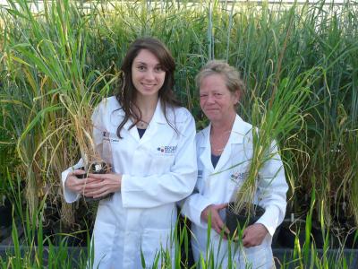 Anne Stavrinides and Margaret Corbitt, Norwich BioScience Institutes