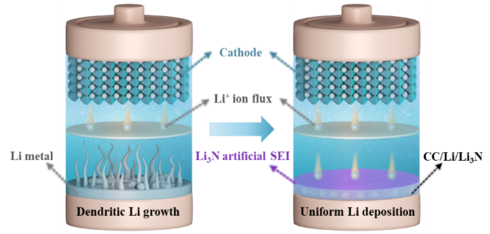 In situ generation of Li3N concentration gradient in 3D carbon-based lithium anodes for highly stable lithium metal batteries