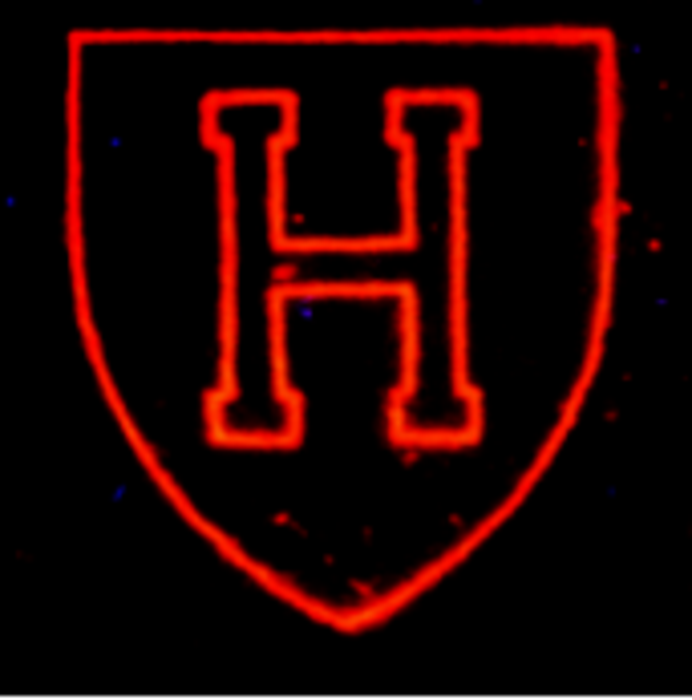 Cryobioprinted 2D sample in the pattern of a Harvard shield