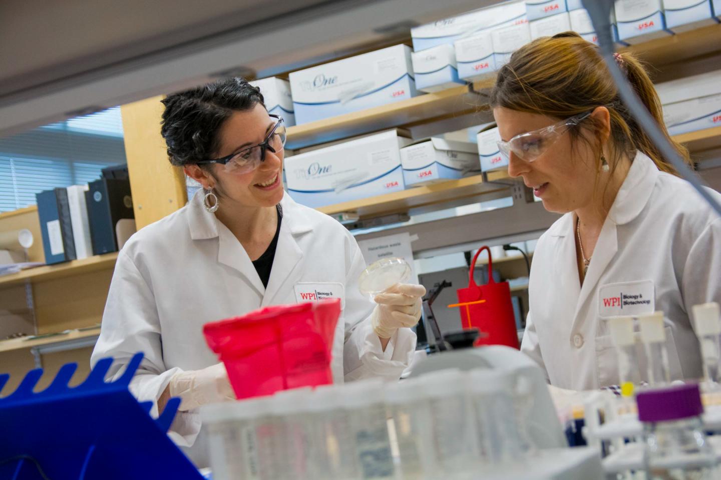 Scarlet Shell and Carla Martini, Worcester Polytechnic Institute 