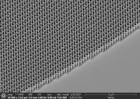 SEM Image of Array of Titanium Dioxide Nanofins