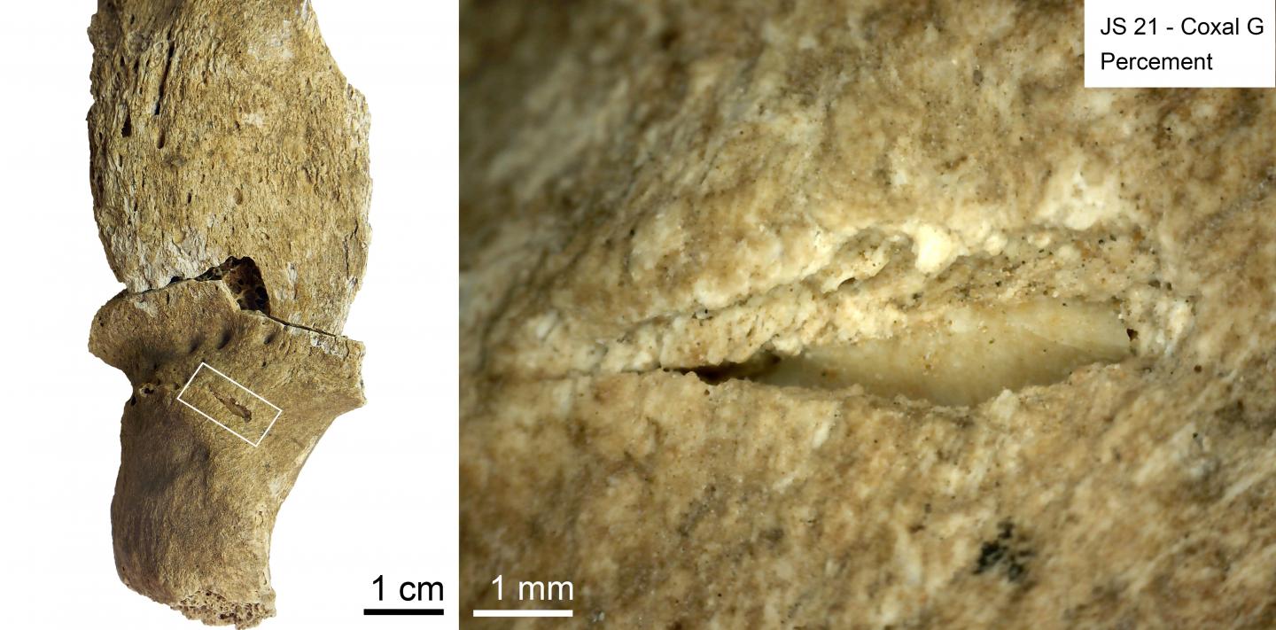 Projectile impact puncture with an embedded lithic fragment