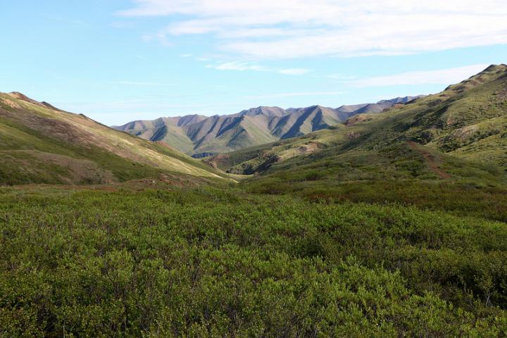 Dartmouth Arctic Carbon Soils Study