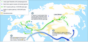 Pollen analysis suggests peopling of Siberia - Vimarsana News