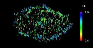 3-D Fluorescence Microscopy Image of EphA2