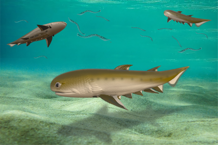 Life reconstruction of Fanjingshania renovata