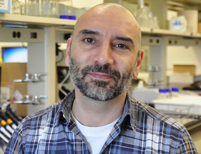 Javier Buceta, Lehigh University 