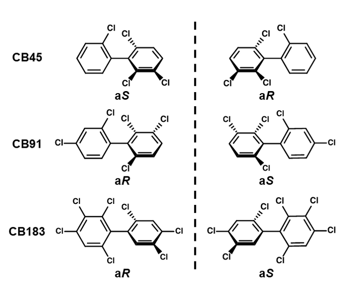 Figure 2 Image Eurekalert Science News Releases 