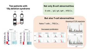 Analysis of two patients with 18q deletion syndrome revealed T-cell abnormalities in addition to B-cell abnormalities