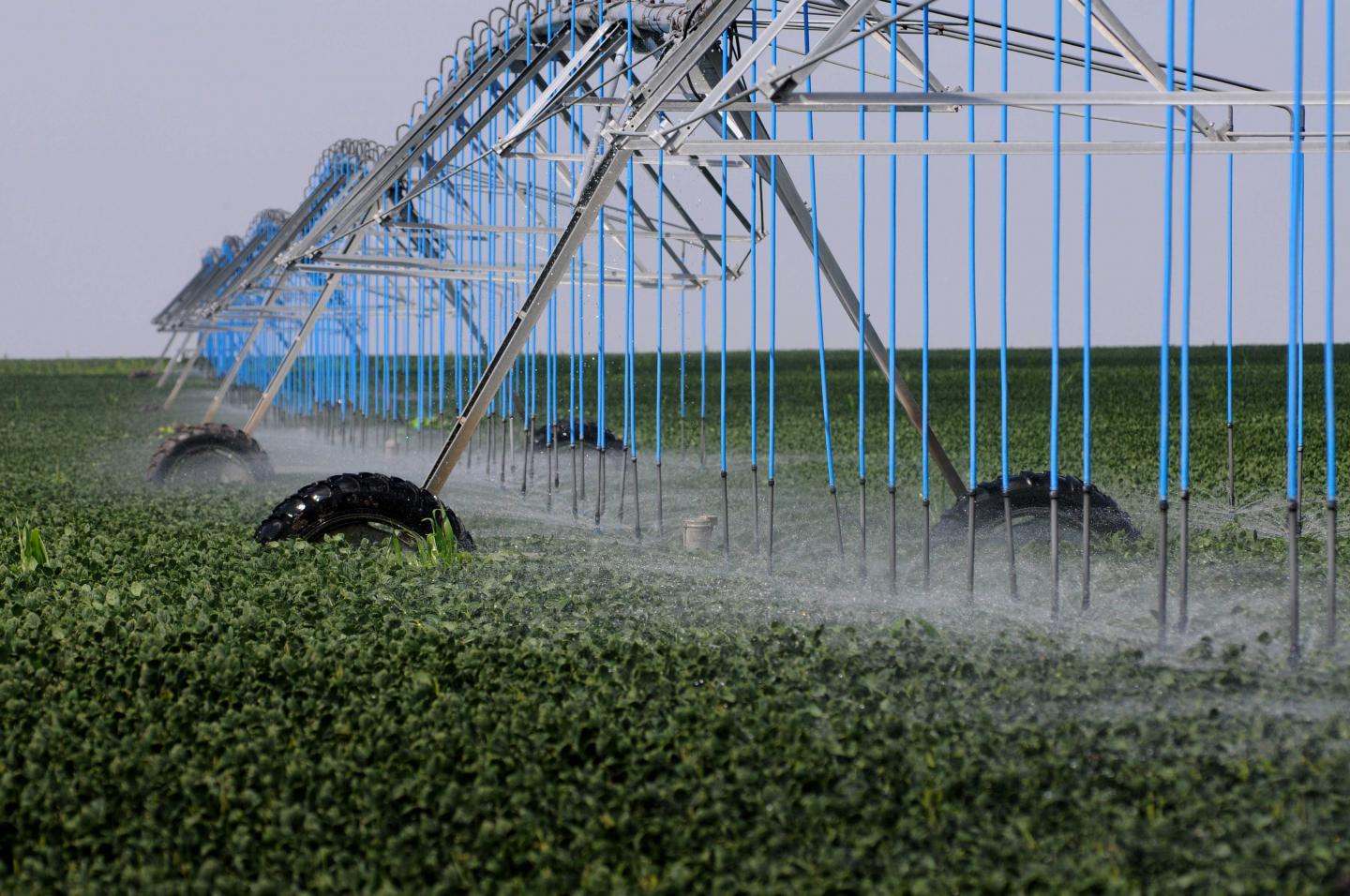 Crop Watering