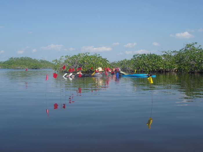 Excavating underwater Maya site