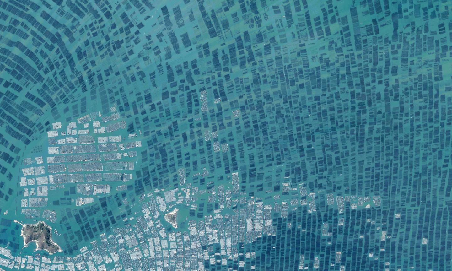 Aquaculture in China