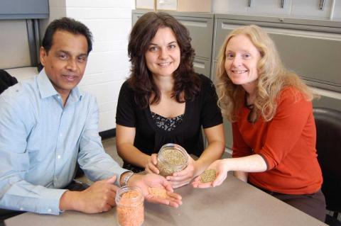 University of Guelph Researchers Reveal Lentils Significantly Reduce Blood Glucose Levels