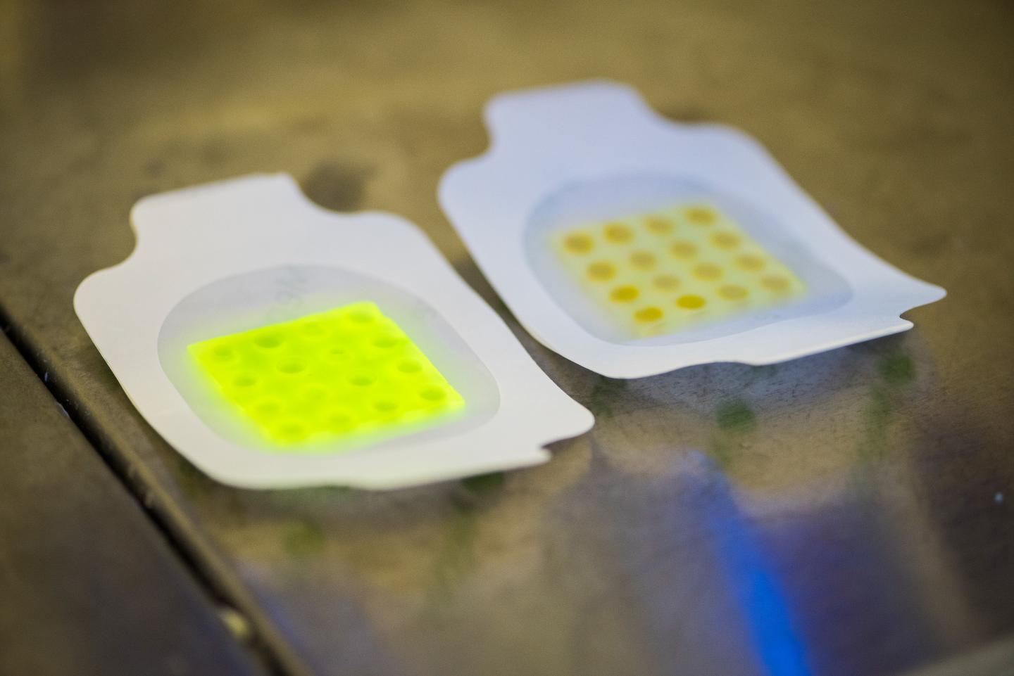 The Dressing under a UV Lamp