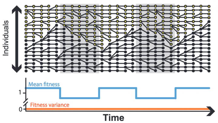 One of Many Scenarios