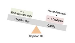 Soybean oil -- bacteria