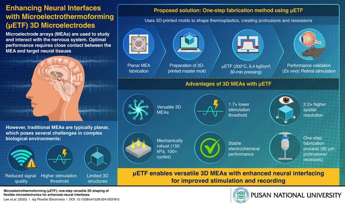 μETF-Processed 3D Polymer Electrodes for Enhanced Neural Stimulation and Recording.