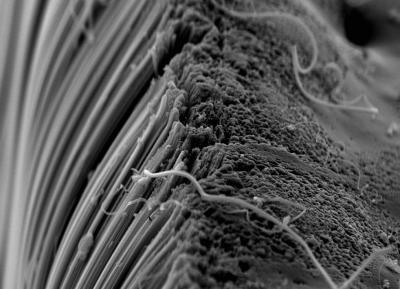 Toxic Byproducts of Carbon Nanotube Manufacturing