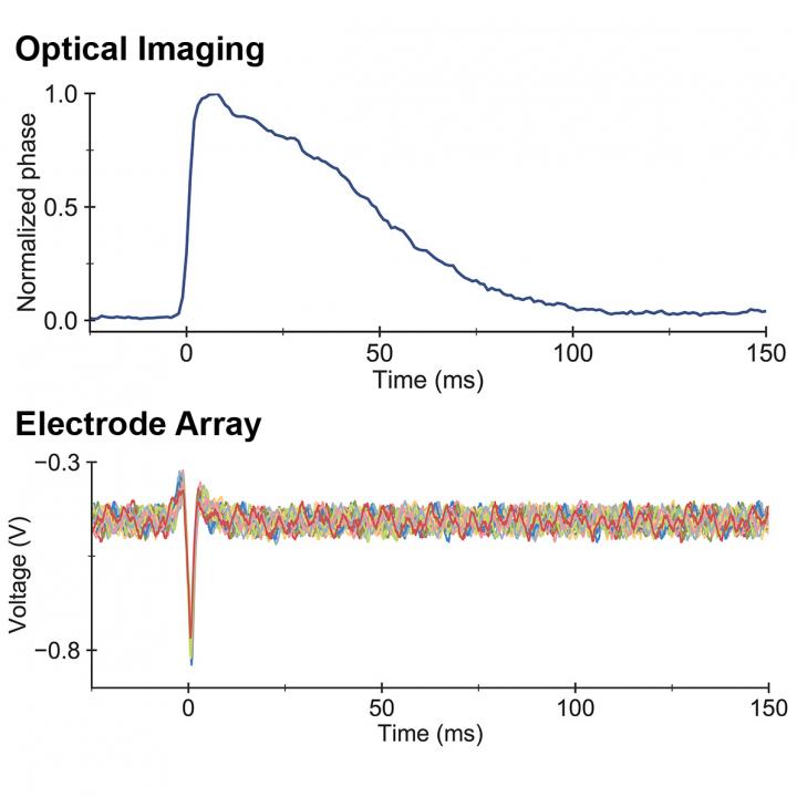 Optical Imaging