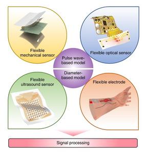 Links to achieve wearable cuffless blood pressure monitoring via flexible sensors