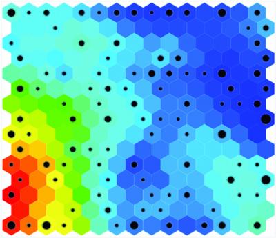 Bacterial Model 2-D (SOM) Map