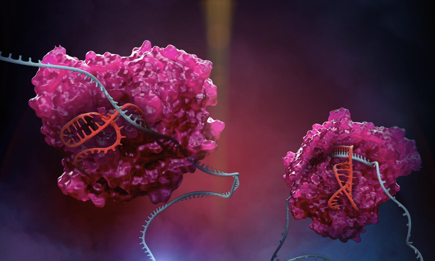 CRISPR Rescue