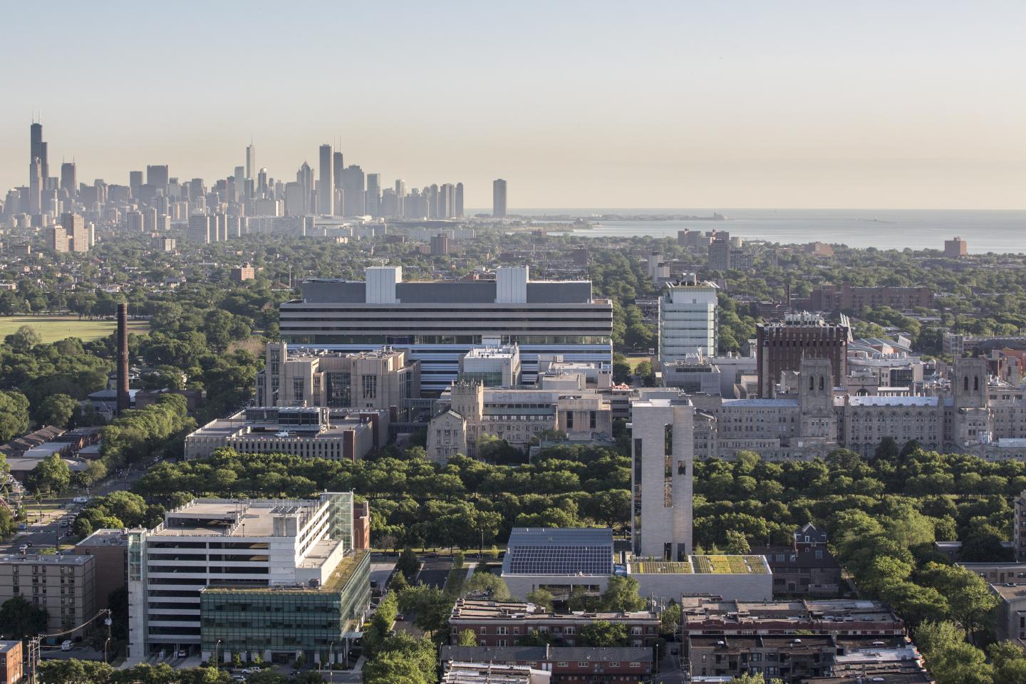 University of Chicago Medicine Campus