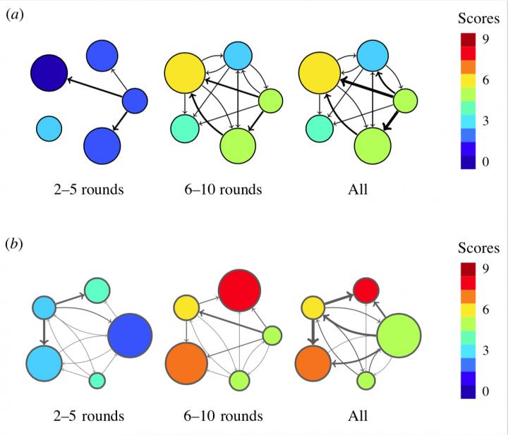 Network Evolution in Small Groups