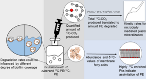 Graphical abstract of the research method