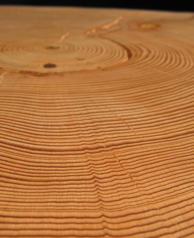 Tree-rings