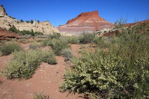 Utah, USA. Photo by Stefano Manzoni