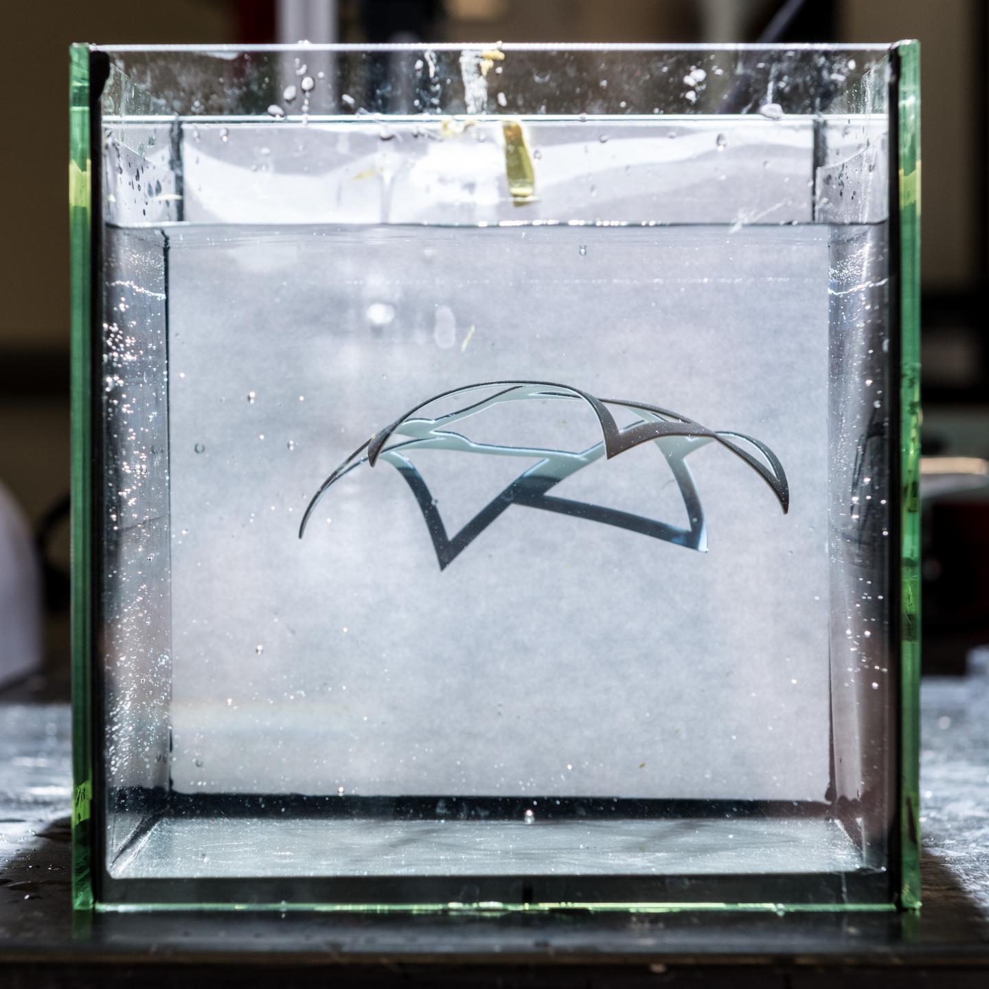 Shape-Shifting 4-D Printed Object