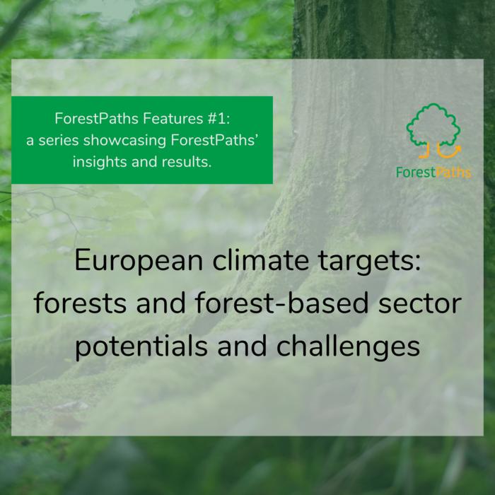 ForestPaths Features #1: Policy brief