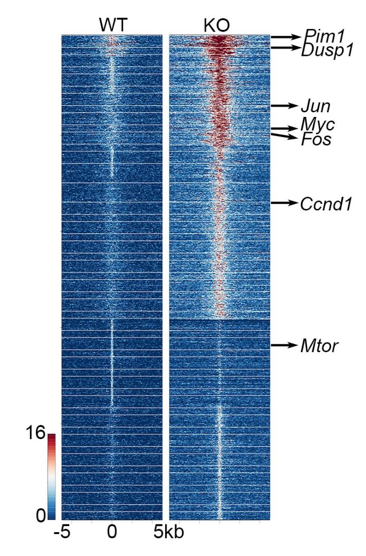 How Cancer Cells Change Pathways to Evade Treatment