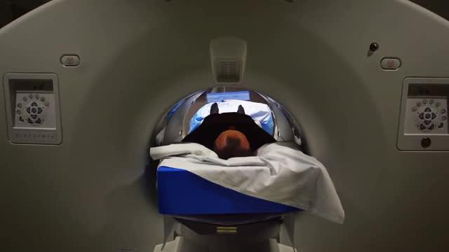 The World's First Total Body PET Scanner Aims to Transform Biomedical Research (6 of 6)