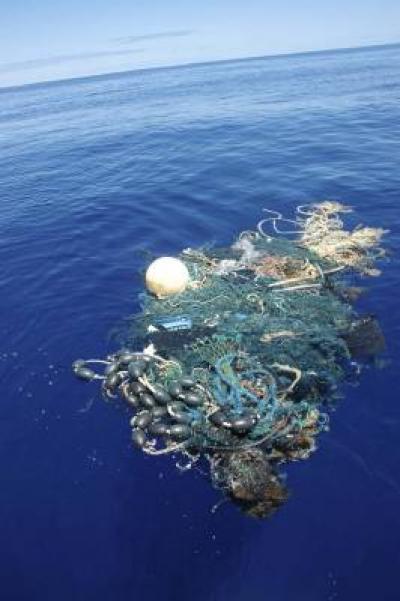 Garbage Patch