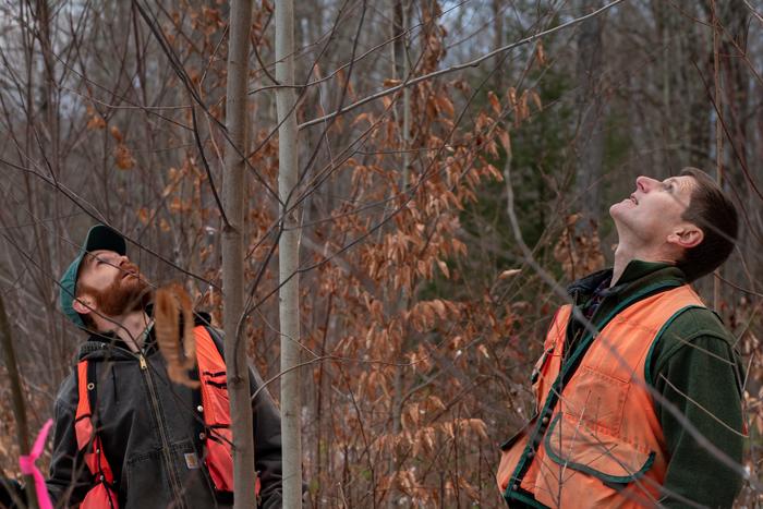 University of Vermont Scientists Peter Clark and Tony D'Amato