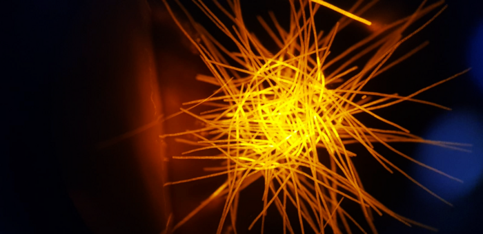 in surface waters of the south pacific ocean. ?