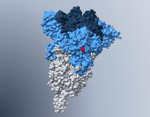 Model of the spike protein of BA.5