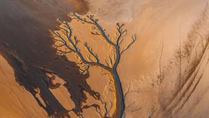 Jiangxi Poyang Lake River Drought