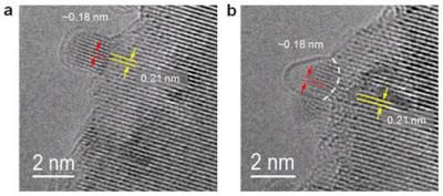Initial Carbon Cap Formation on Co Nanoparticles