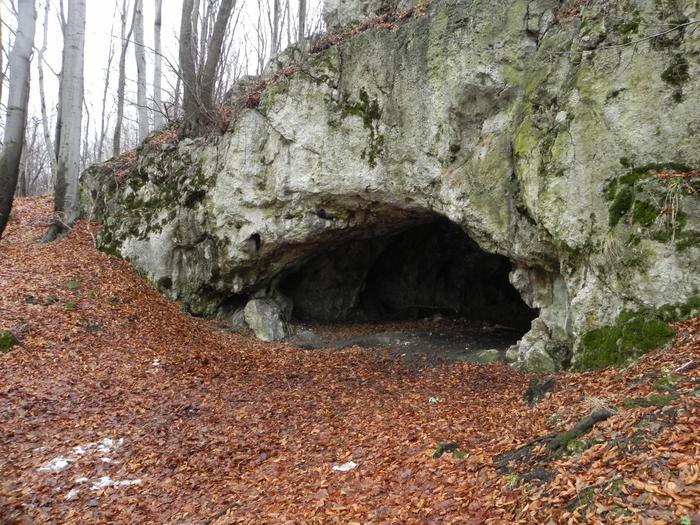 The entrance to the Maszycka Cave in southern Poland