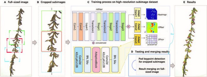 Fig.2